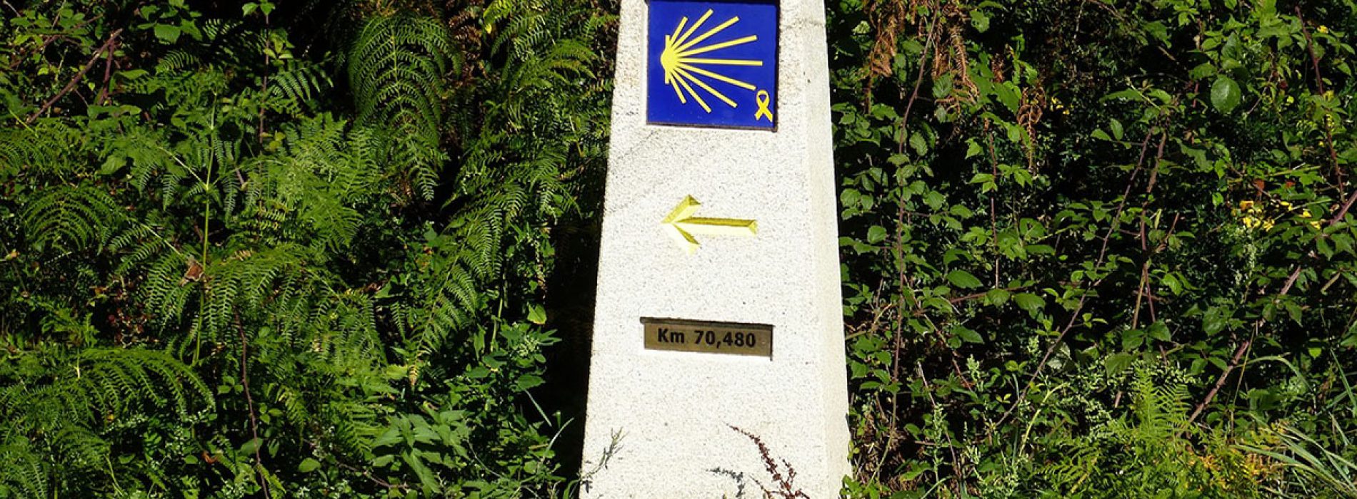 Diez razones para visitar Galicia