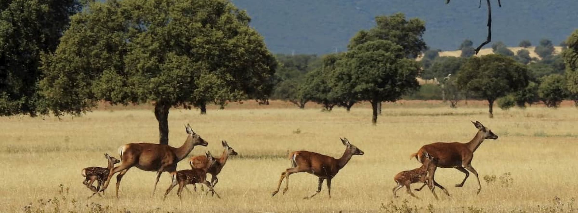 Los 15 parques naturales para relajarse y olvidarse del estrés