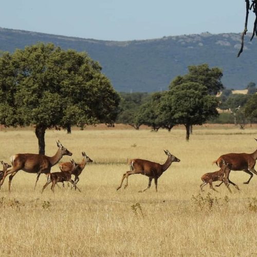 Los 15 parques naturales para relajarse y olvidarse del estrés
